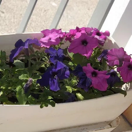 Caposud - Sottovento Apartmán